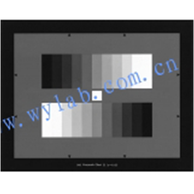 DNP ITE Type II灰度圖表（γ= 0.45）4:3
