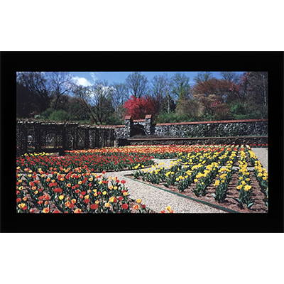 DNP B-4郁金香花園卡16:9