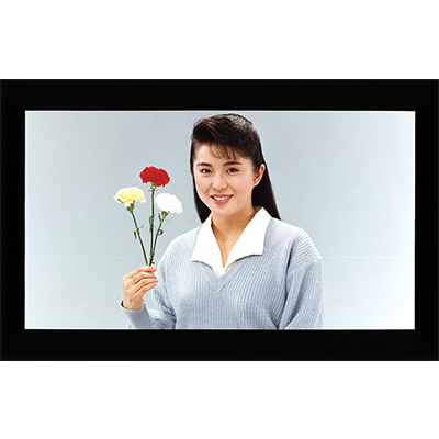 DNP A-1膚色卡 16:9